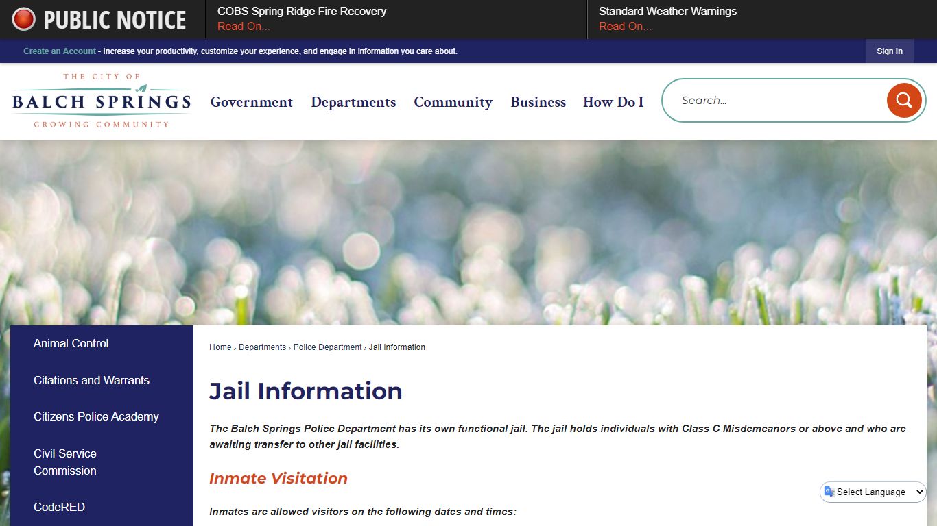 Jail Information | Balch Springs, TX